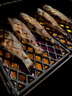 Ersatz Grillrost aus Gusseisen für Broil King Regal/Imperial – 16x48cm