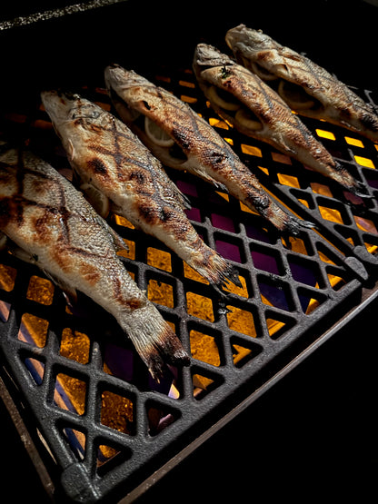 Ersatz Grillrost aus Gusseisen für Broil King Regal/Imperial – 16x48cm