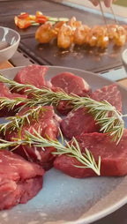 Teppanyaki Grill Outdoor Cooking Easy Grilling & Dining